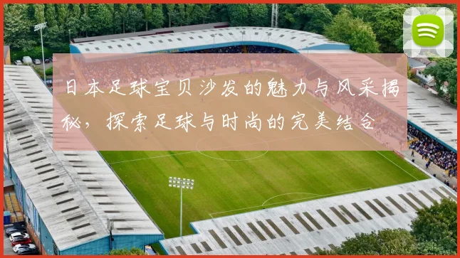 日本足球宝贝沙发的魅力与风采揭秘，探索足球与时尚的完美结合