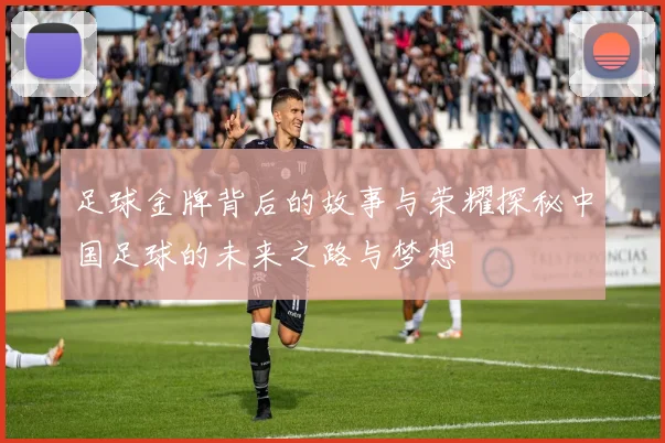足球金牌背后的故事与荣耀探秘中国足球的未来之路与梦想