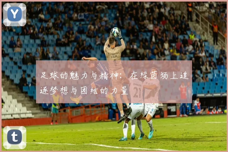 足球的魅力与精神：在绿茵场上追逐梦想与团结的力量