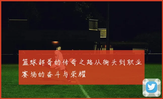 篮球郝哥的传奇之路从街头到职业赛场的奋斗与荣耀