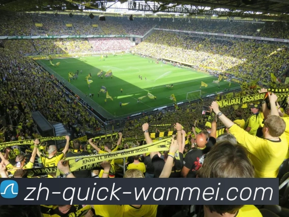 赛事直播APP 封面图